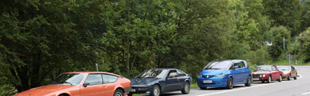 Kleine Fulvia unter vielen „Panthern“