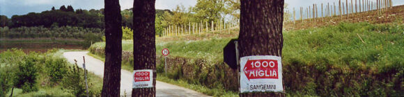 Mille Miglia 2002: Reisebericht