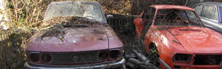 Lancia exposed to the Elements II
