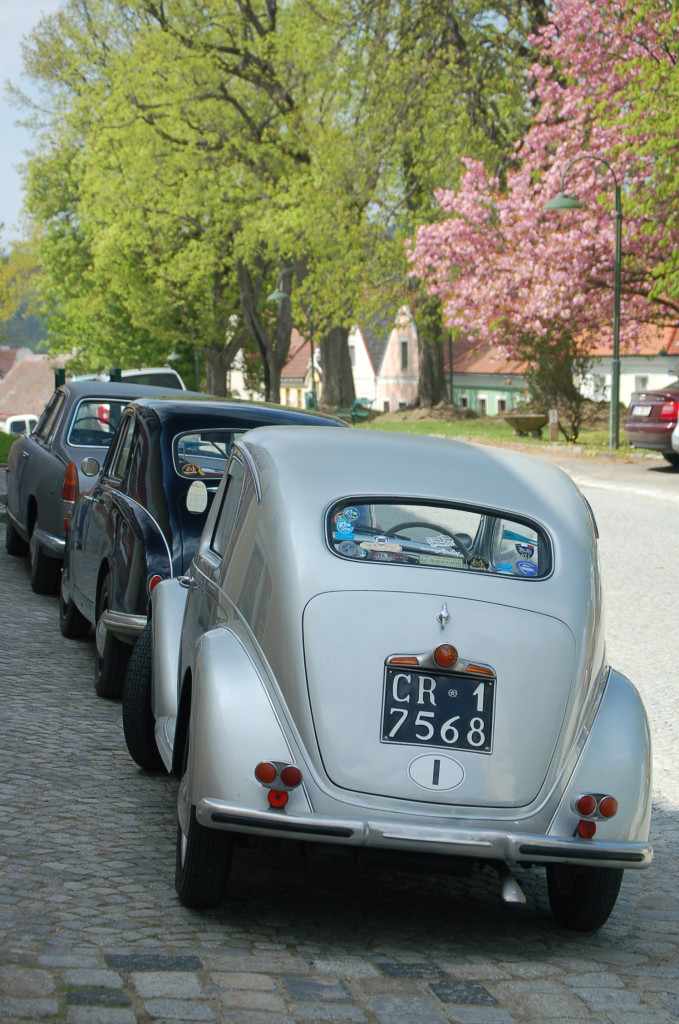 Garagenausfahrt Frühjahr 2017 - die Älteste war nicht die Letzte